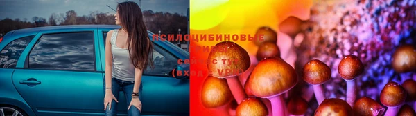 марки lsd Елизово
