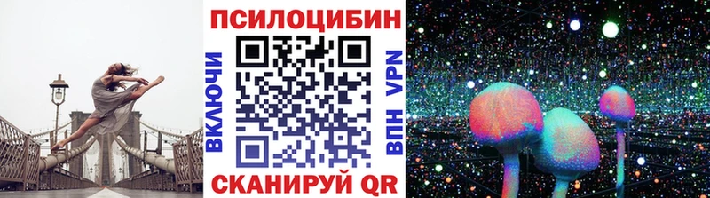 Купить  Лиски  Галлюциногенные грибы Cubensis 