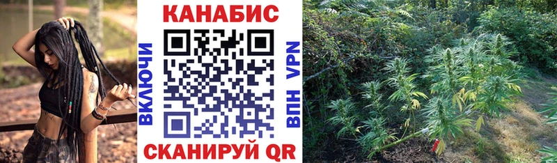 Купить  Лиски  Каннабис гибрид 